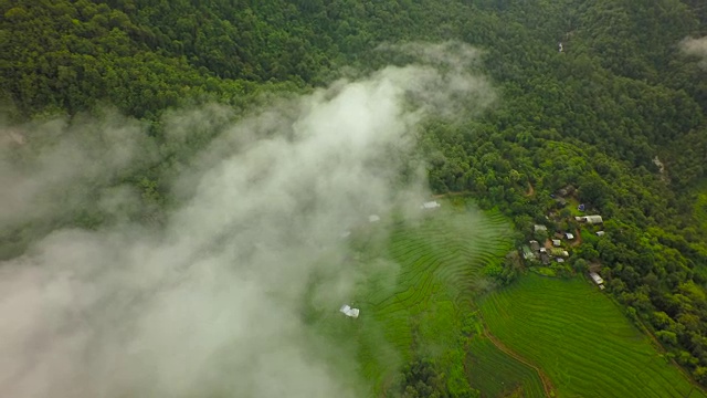 从空中拍摄泰国北部的梯田。视频素材