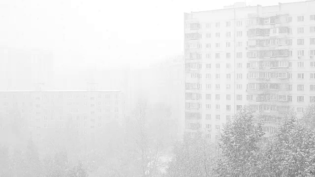 飘落的雪花视频下载