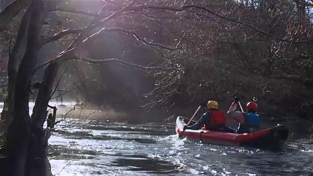 森林里宁静的河流视频素材