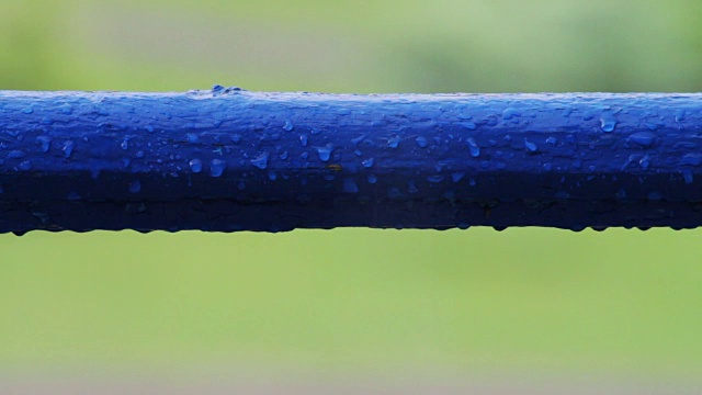 水滴在雨中滴视频素材