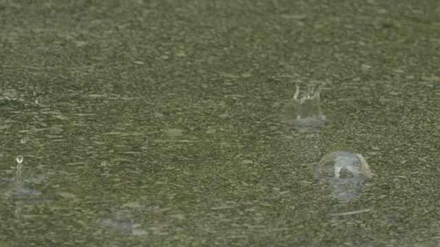 慢动作特写:雨滴落入一个大水坑视频素材