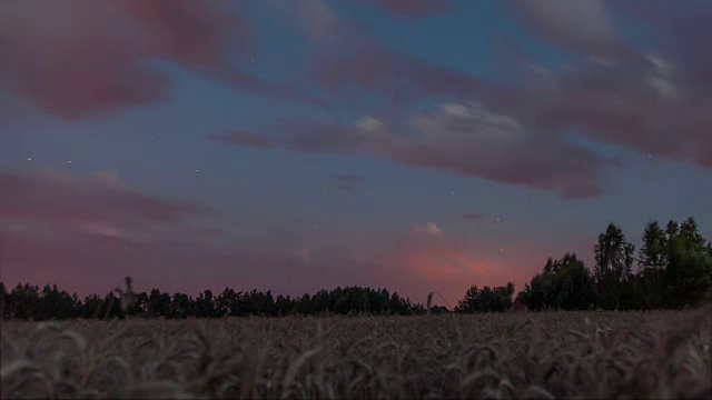 麦田上的星夜视频下载