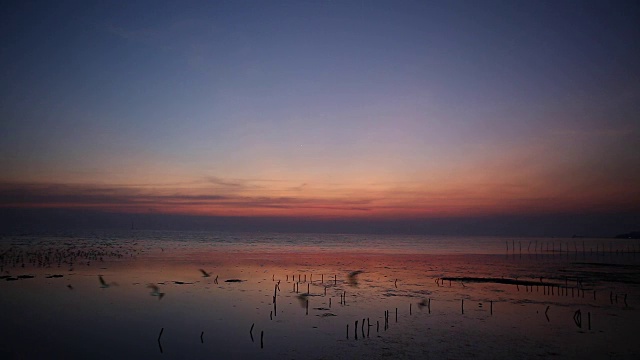 海鸥和浪漫的日落在泰国的傍晚灯光视频下载