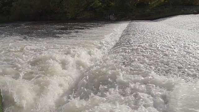 鲑鱼在急流河跳过堰视频素材