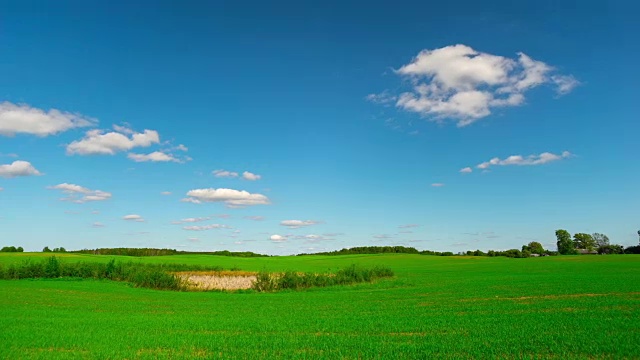 夏季景观，全景式时光流逝视频素材