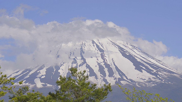 日本山梨县富士山的春天景观视频素材