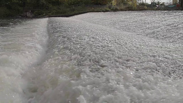 鲑鱼在急流河跳过堰视频素材