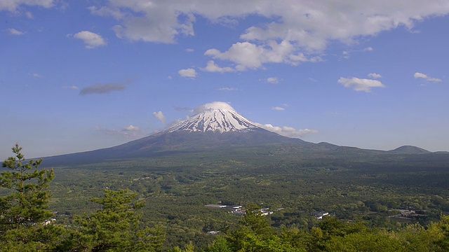 日本山梨县富士山的春景视频素材