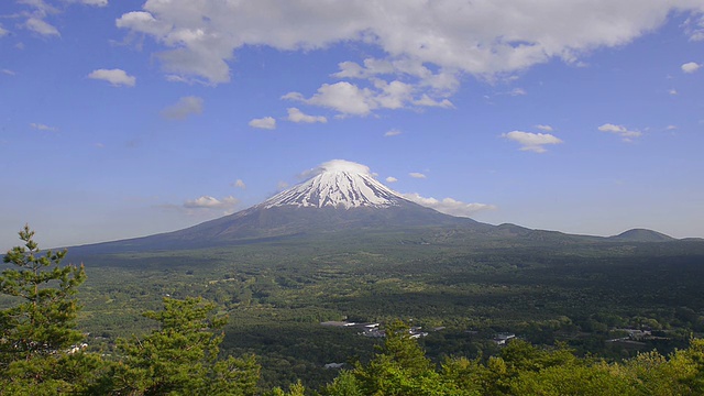 日本山梨县富士山的春景视频素材