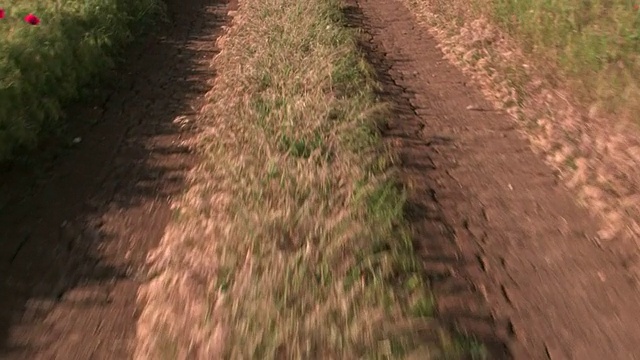 汽车行驶在土路上穿过田野视频素材