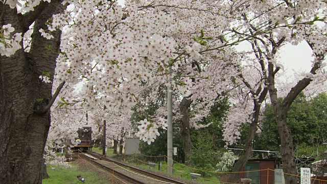 京都的兰登有轨电车线路视频素材