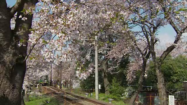 京都的兰登有轨电车线路视频素材