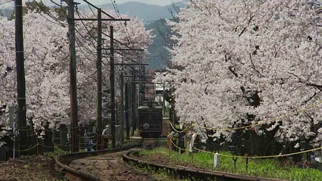 京都的兰登有轨电车线路视频素材