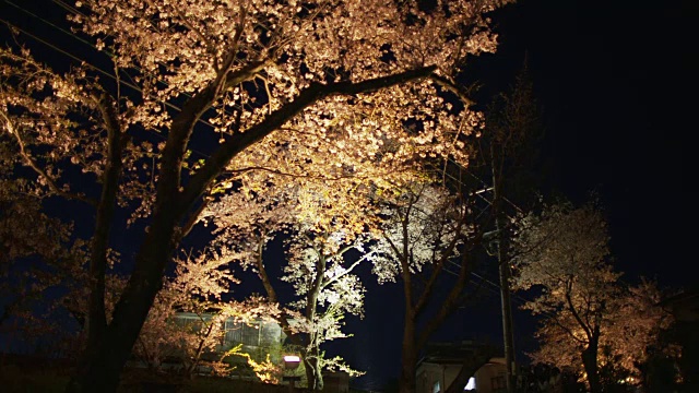 《京都晚间有轨电车线路》视频素材