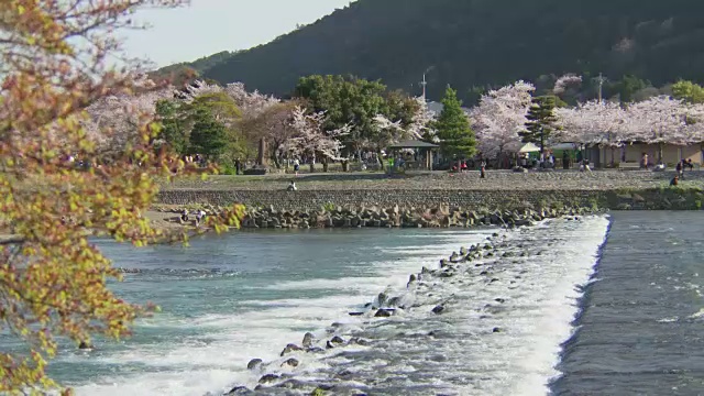 位于京都岚山的岚山公园视频素材