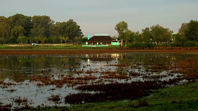 La Donana国家公园湿地，El Rocio，西班牙安达卢西亚视频下载