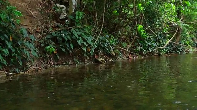 考拉克漂流视频素材