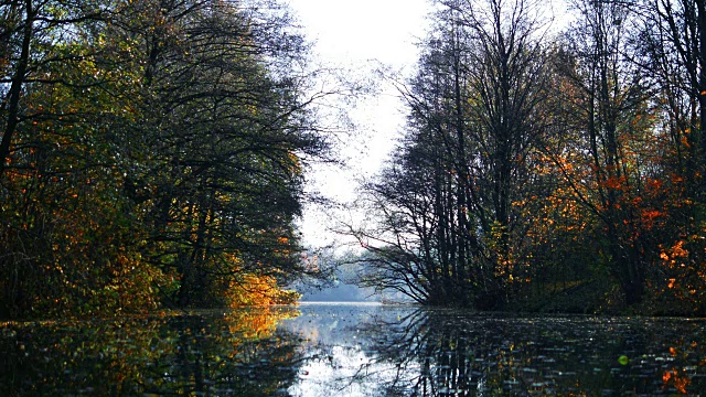 深秋。公园里的池塘。视频素材