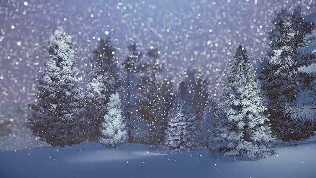 白雪云杉林中的神奇夜晚视频素材