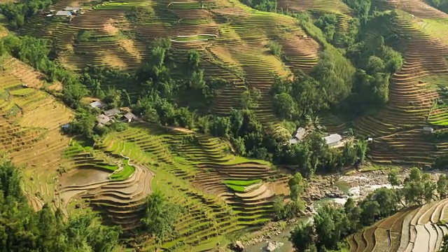 越南北部的梯田稻田视频素材