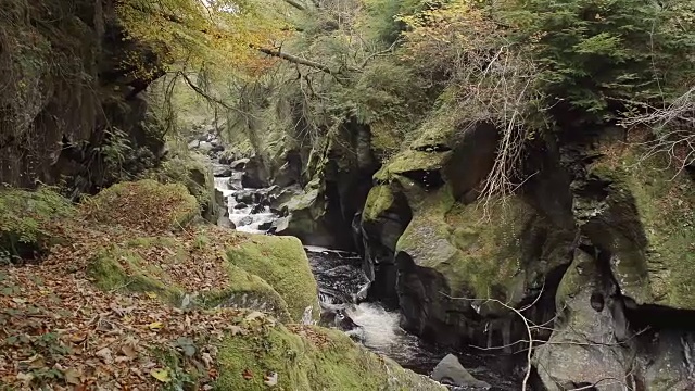 荒野深处的山溪视频素材