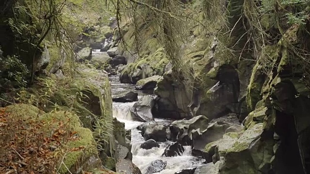 荒野深处的山溪视频素材