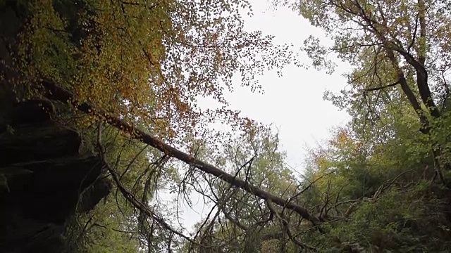 《荒野深处的山涧》慢镜头视频素材