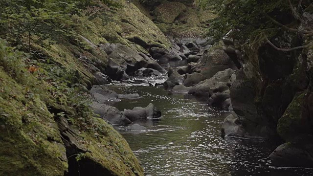 《荒野深处的山涧》慢镜头视频素材