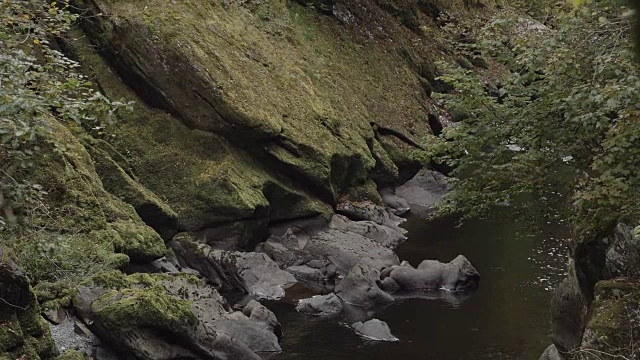 荒野深处的山溪视频素材