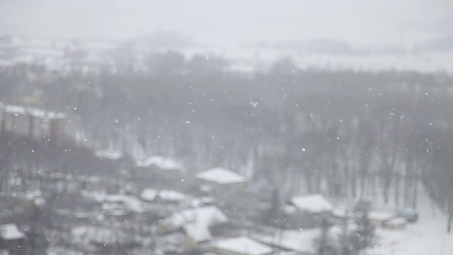 城市下雪了视频素材