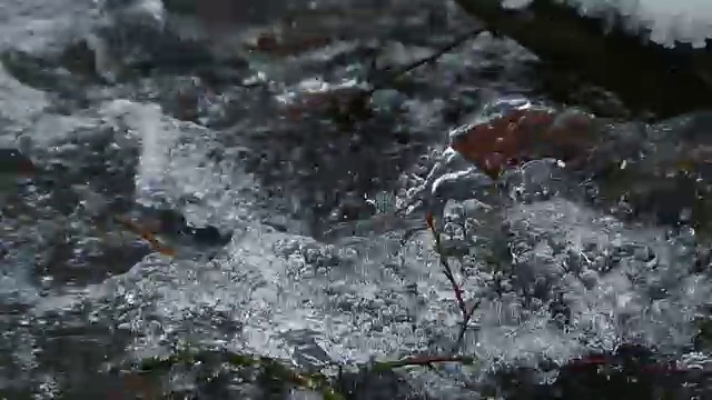 湍急的山涧水视频素材