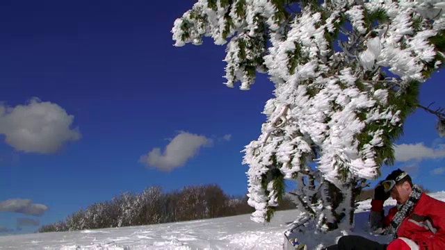 滑雪板落在雪枞树枝上视频素材