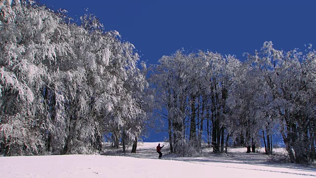 在冬季森林里滑雪的年轻运动员视频素材