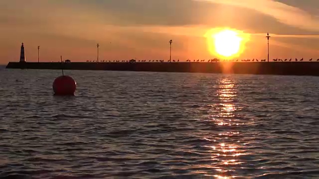 清晨的海港，鸟群和橙色的浮标视频素材