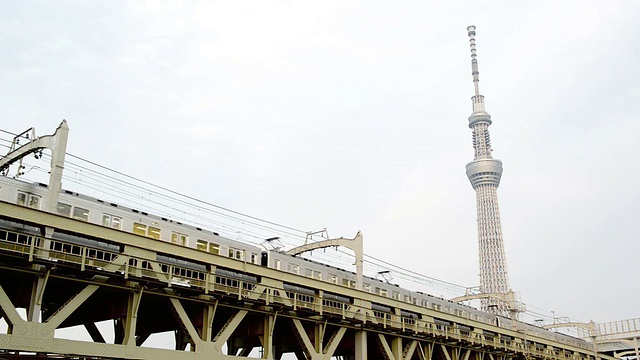 从Sumida河看东京天空树视频素材