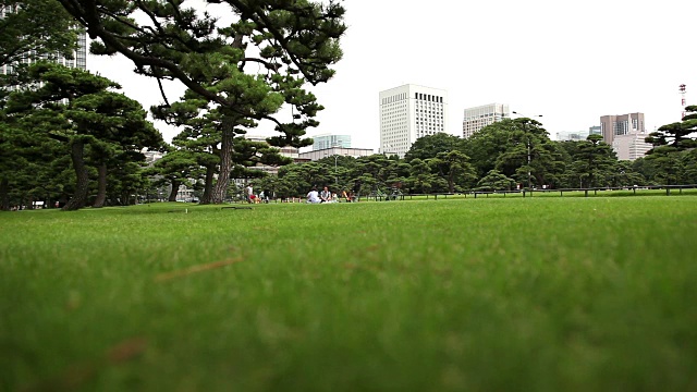 草坪和野餐的人们视频下载