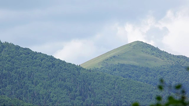 绿色的山顶视频素材