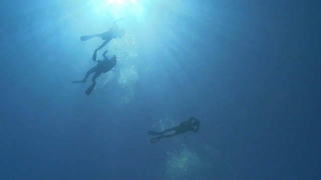 人们在海上潜水视频素材