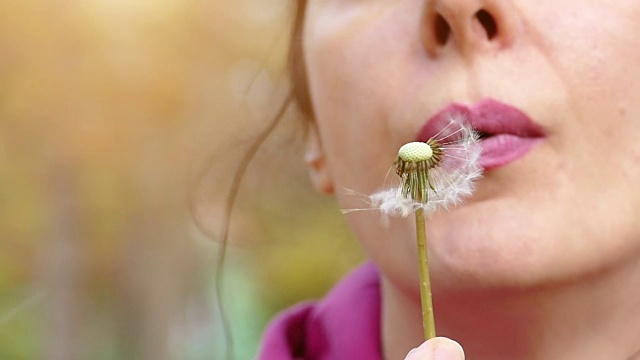 用慢镜头在大自然中吹蒲公英视频素材