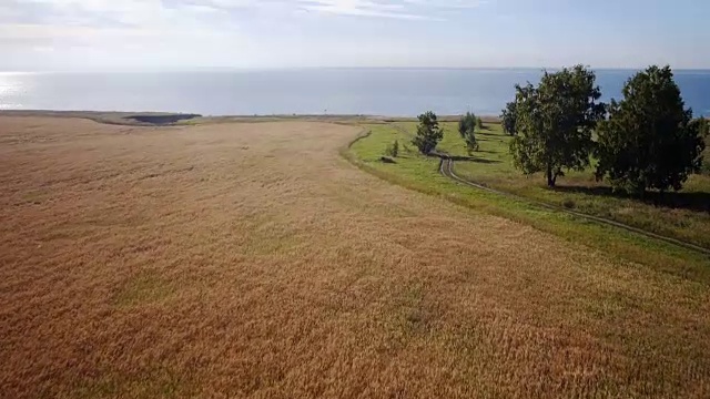 空中:黄色的麦田，蓝色的大海。夏天的早晨视频下载