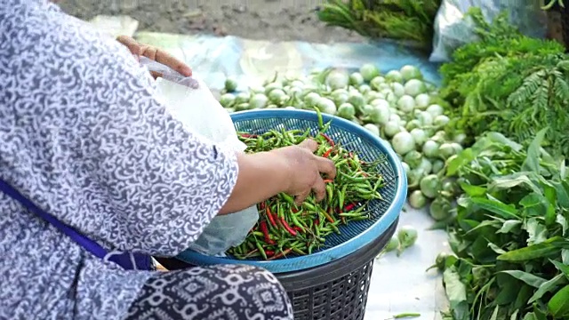 市井妇女挑了新鲜的辣椒放进袋子，然后称重视频下载