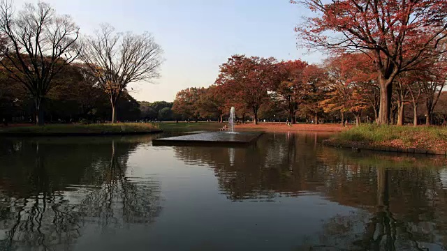 东京花园间隔拍摄视频素材