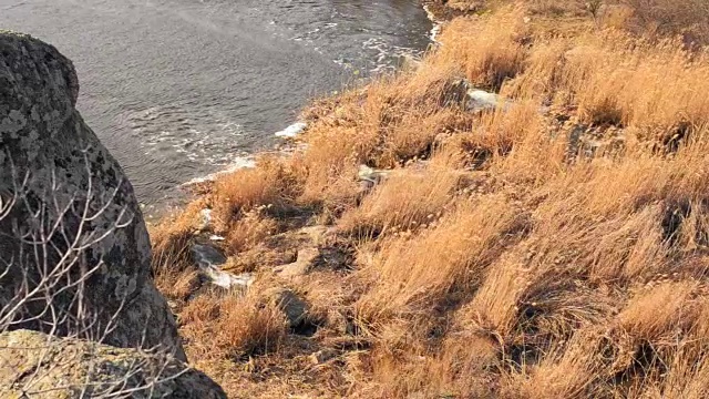 景观与河流和芦苇视频素材