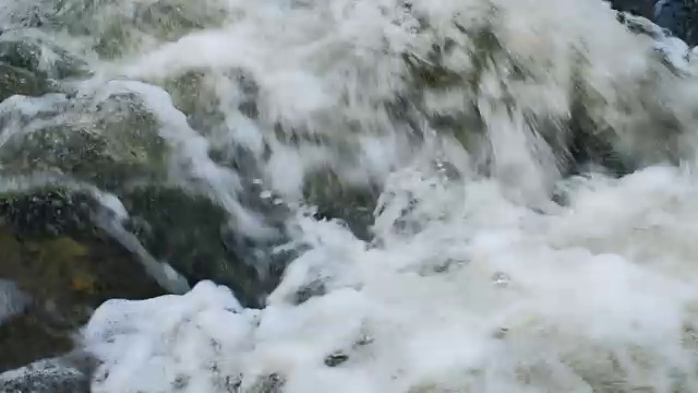 景观与河流和芦苇视频素材