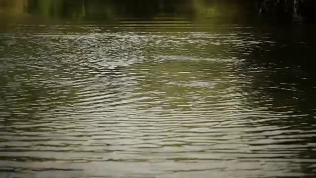 水飞溅!视频素材