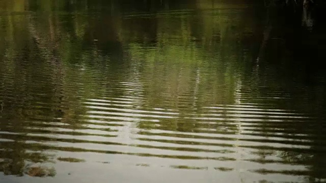 水飞溅!视频素材