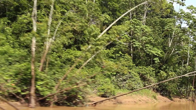 沿着亚马逊河旅行视频素材