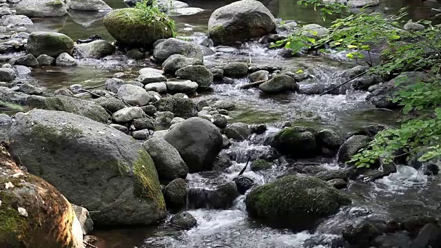 小溪流过植物间的岩石，流向相机视频素材