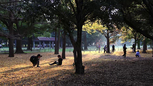 东京花园间隔拍摄视频下载