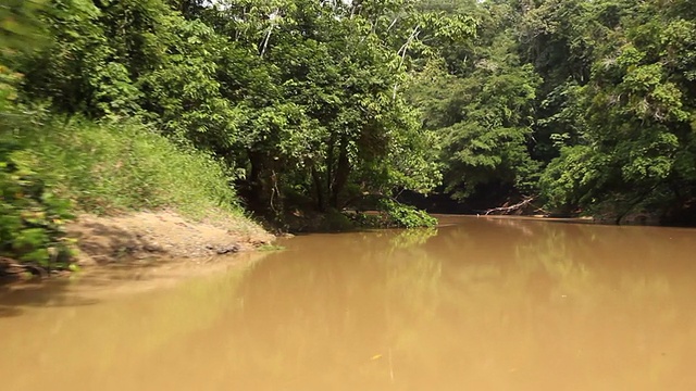 沿着亚马逊河旅行视频素材